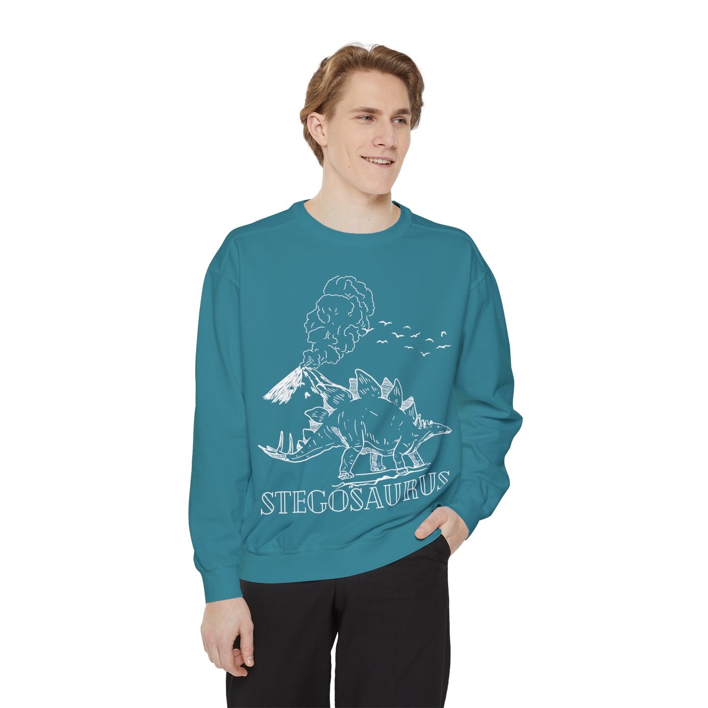 Family Matching Adult Stego Sweatshirt