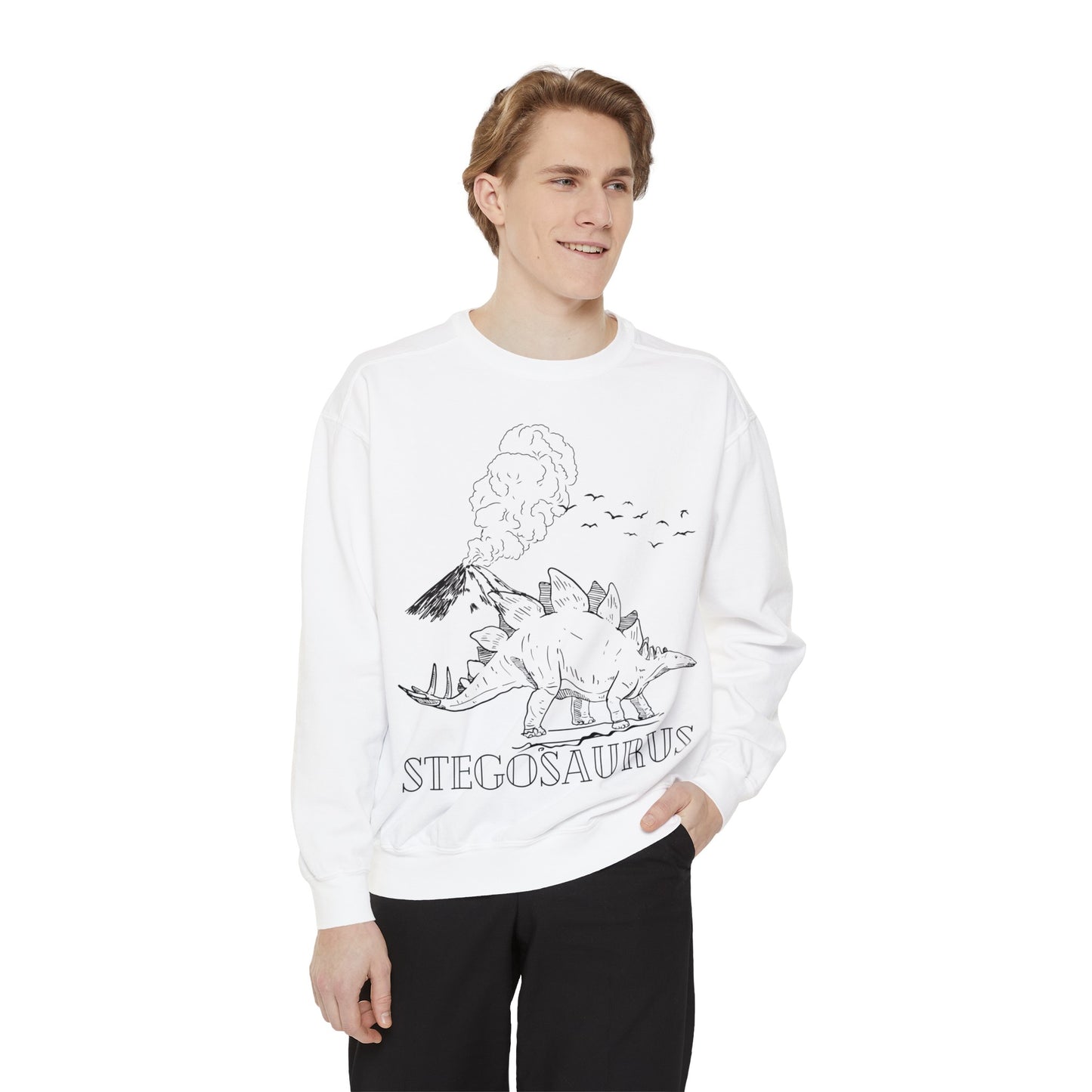 Family Matching Adult Stego Sweatshirt