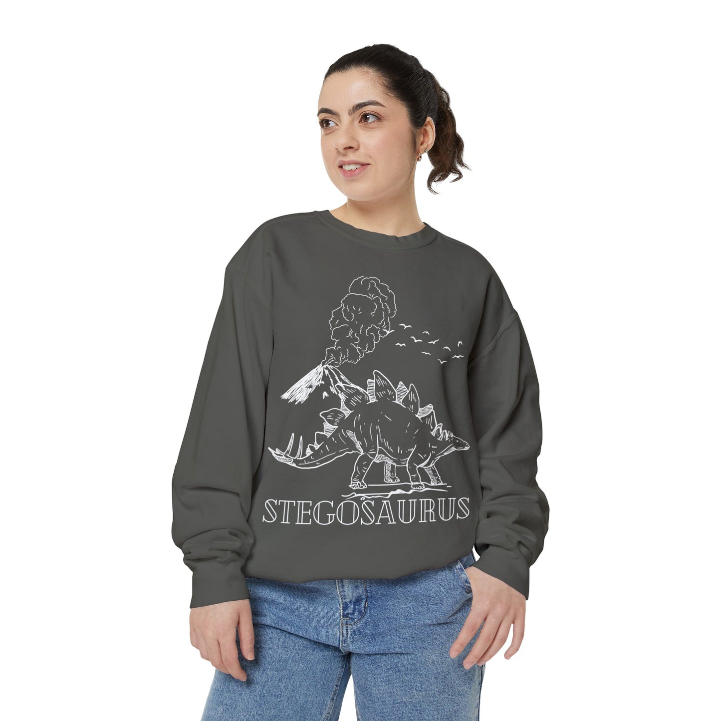 Family Matching Adult Stego Sweatshirt