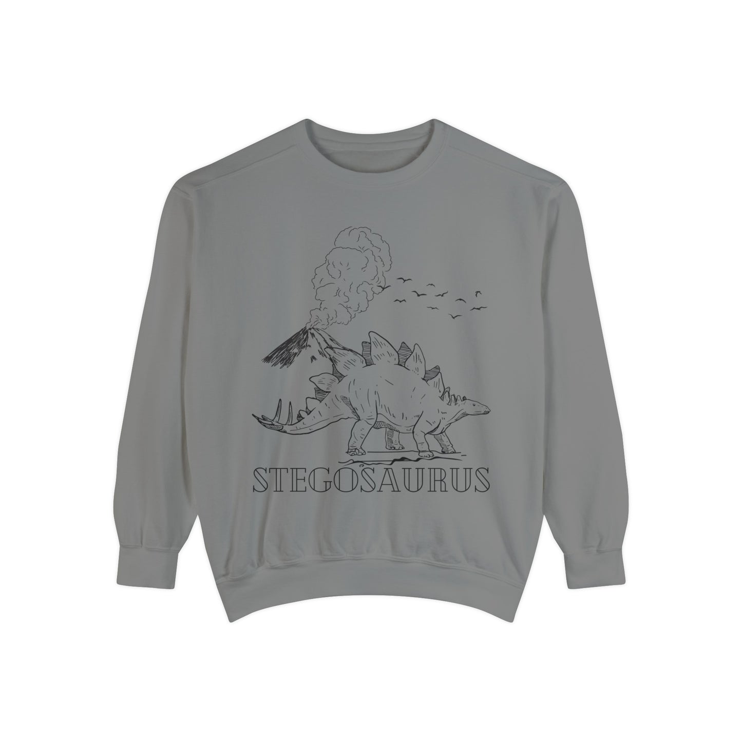 Family Matching Adult Stego Sweatshirt