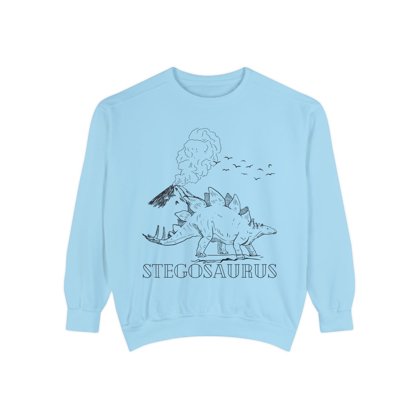 Family Matching Adult Stego Sweatshirt