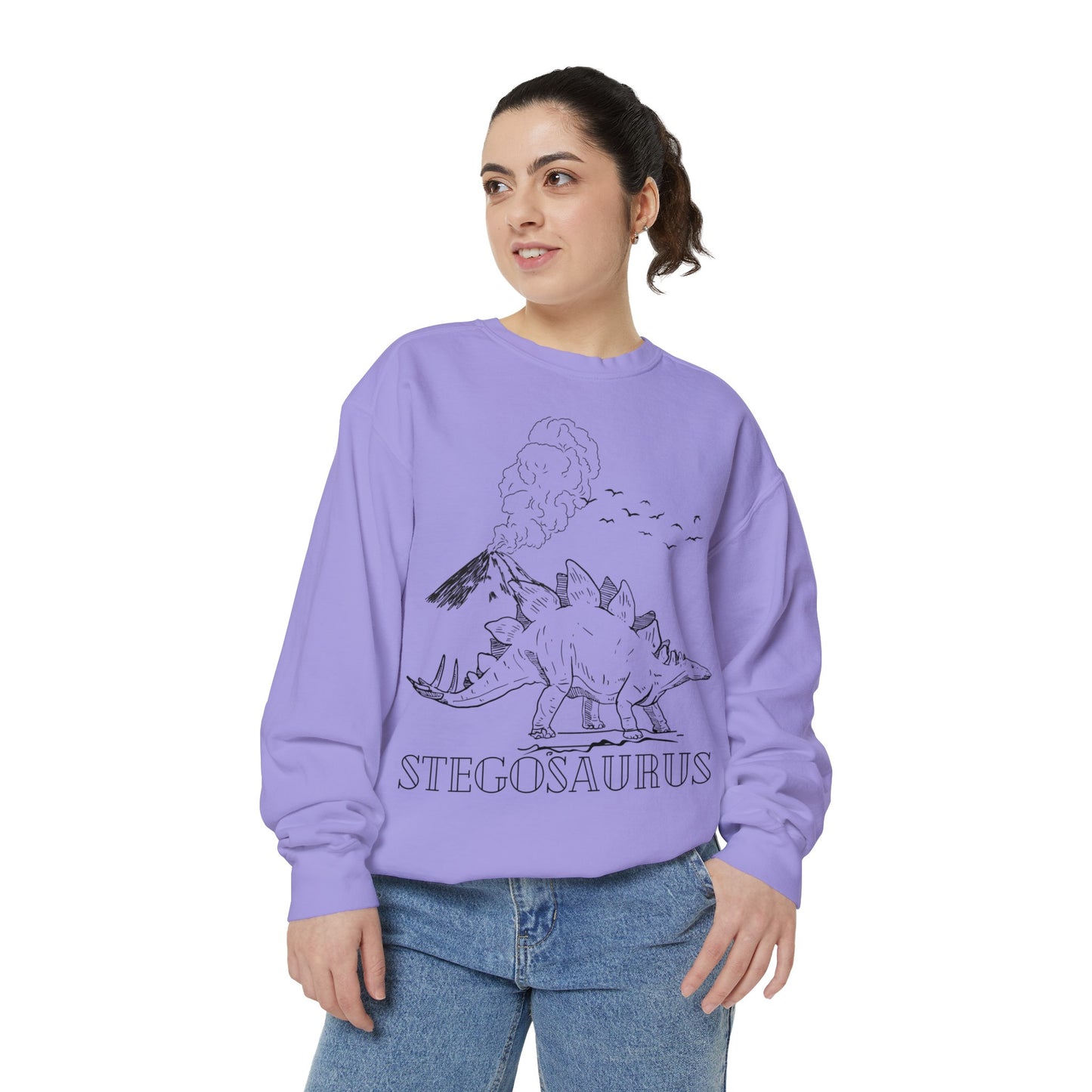 Family Matching Adult Stego Sweatshirt