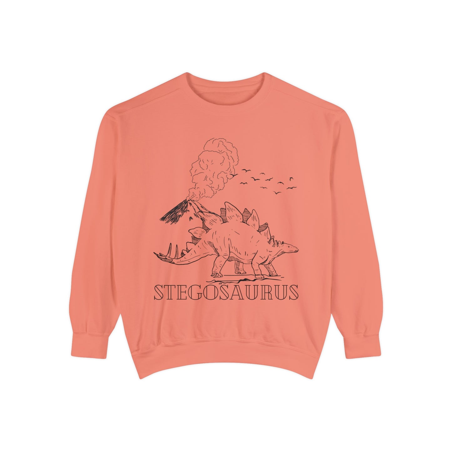 Family Matching Adult Stego Sweatshirt