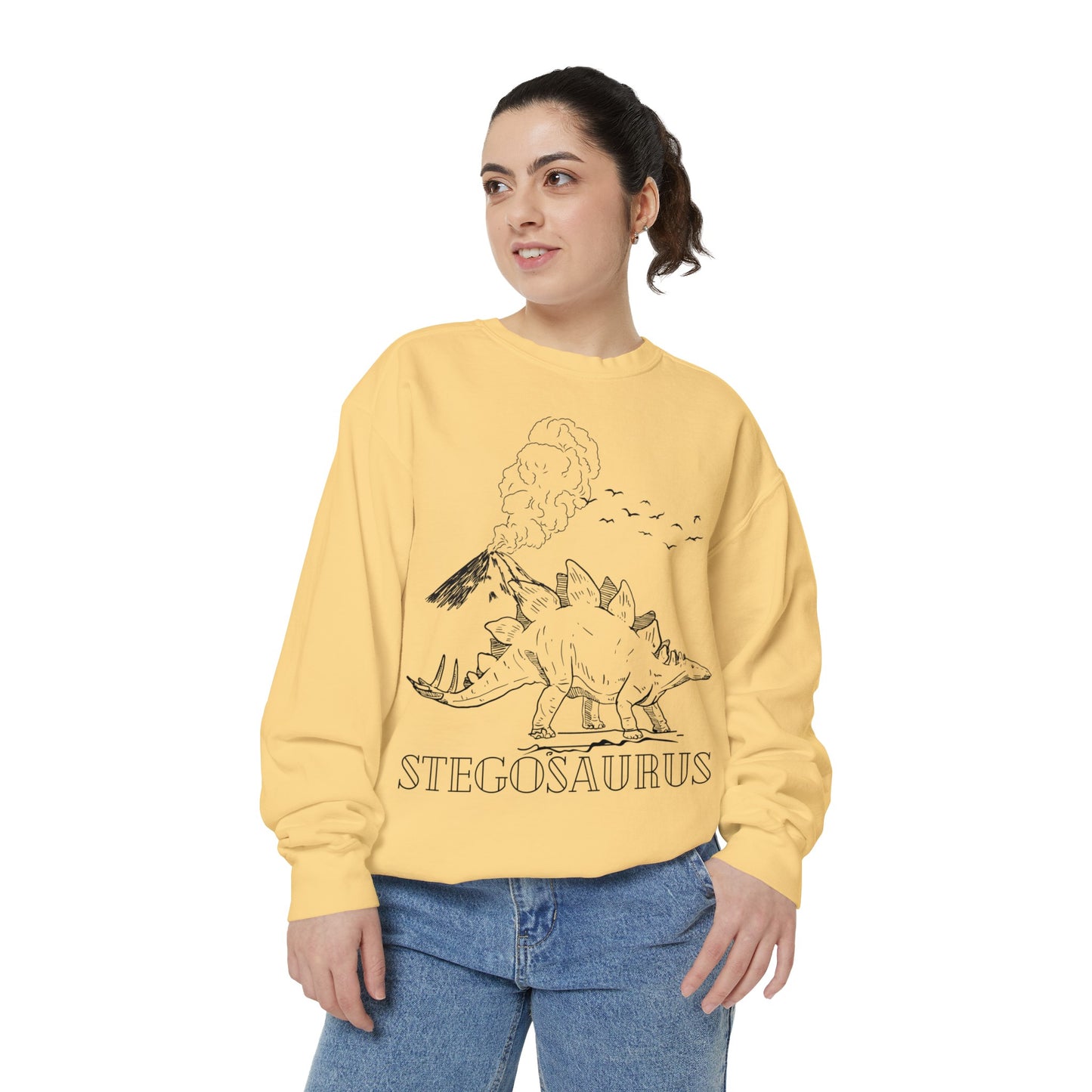 Family Matching Adult Stego Sweatshirt